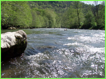 La grande Nive